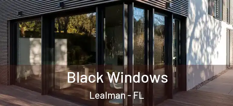  Black Windows Lealman - FL