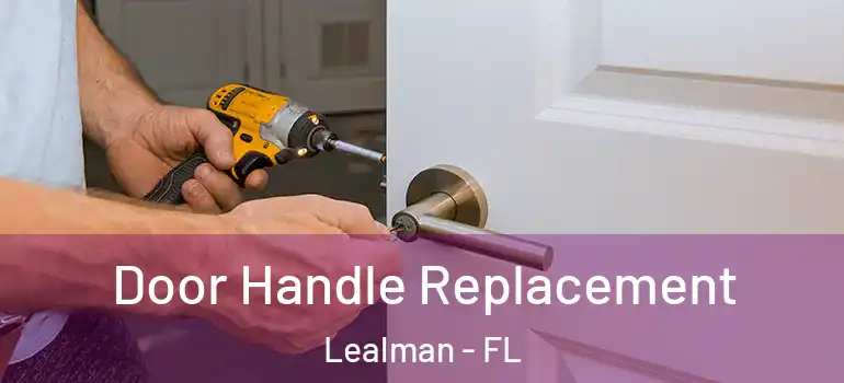  Door Handle Replacement Lealman - FL