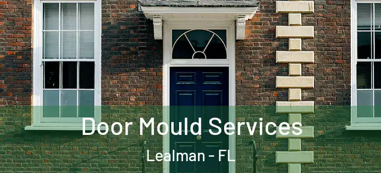  Door Mould Services Lealman - FL