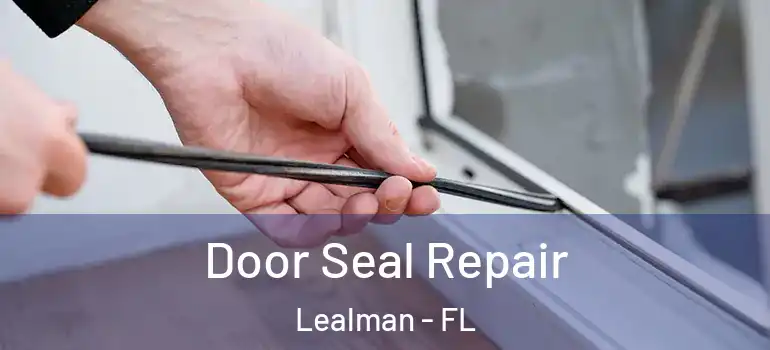  Door Seal Repair Lealman - FL