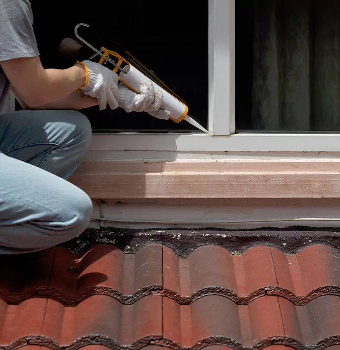 Roof Window Services in Lealman, Florida
