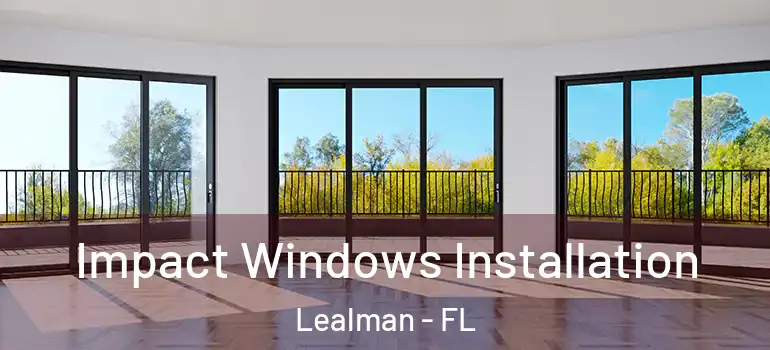  Impact Windows Installation Lealman - FL