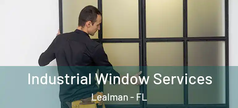  Industrial Window Services Lealman - FL