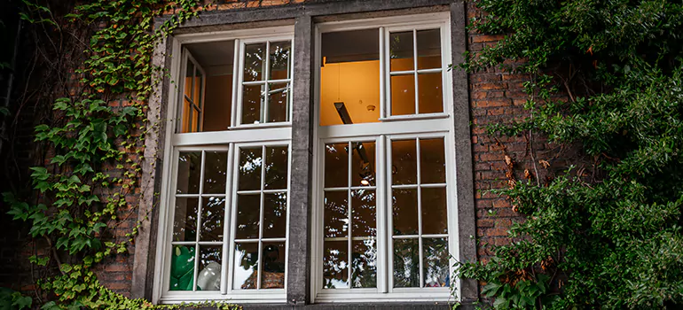 Energy Efficient Wood Windows in Lealman, FL