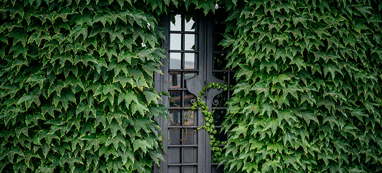 Garden Gate Repair in Lealman, FL