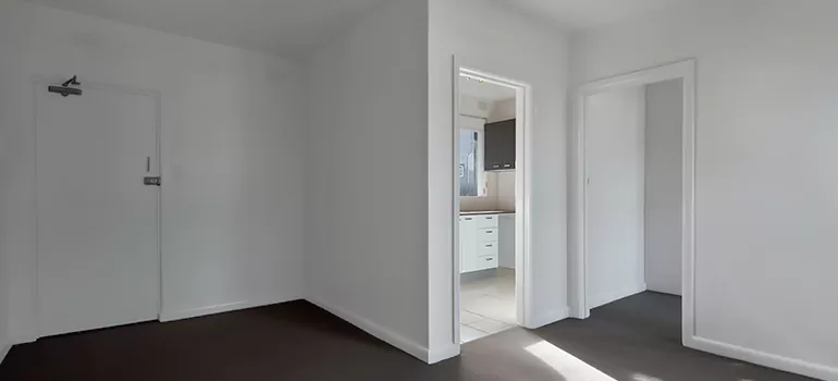 Dark Interior Doors in Lealman, FL