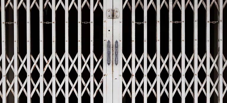 Steel Line Garage Door Repairs in Lealman, FL