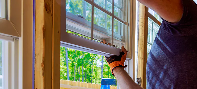 Decorative Window Film Services in Lealman, FL