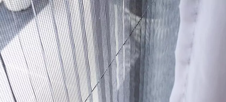 Fixing Screen Window Mesh in Lealman, FL