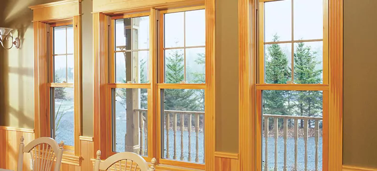 Government Incentives For Replacement Windows in Lealman, FL