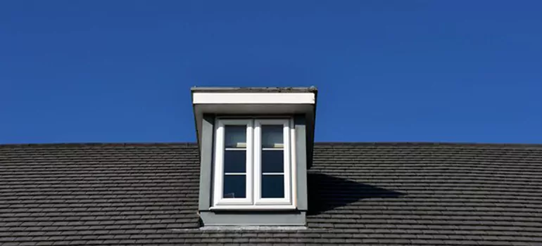 Roof Window Installation in Lealman, FL