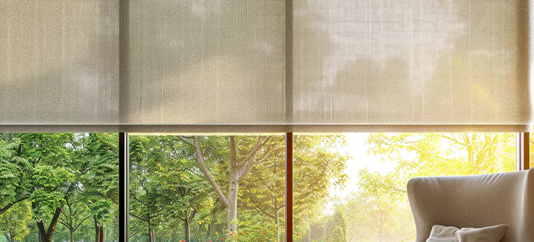 Custom Window Shades in Lealman, FL
