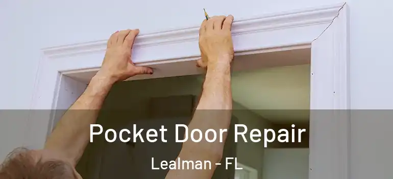  Pocket Door Repair Lealman - FL