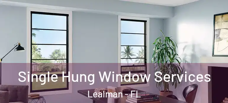  Single Hung Window Services Lealman - FL