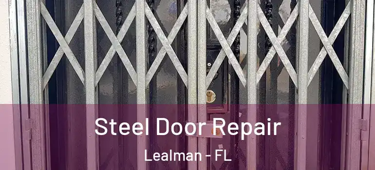  Steel Door Repair Lealman - FL