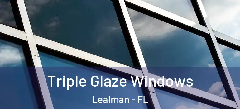  Triple Glaze Windows Lealman - FL