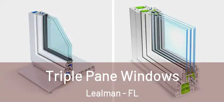  Triple Pane Windows Lealman - FL