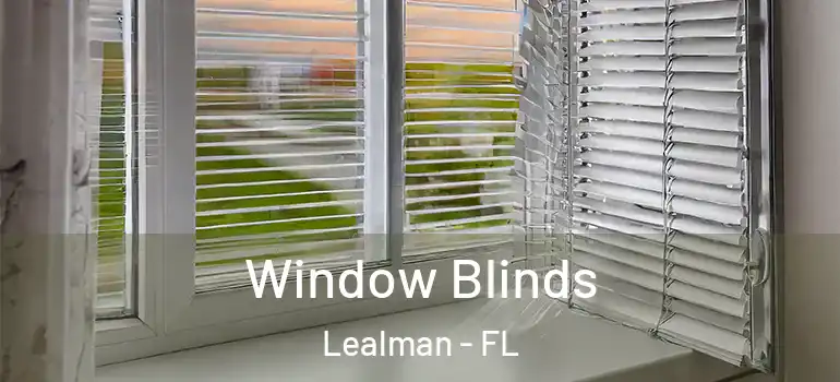  Window Blinds Lealman - FL