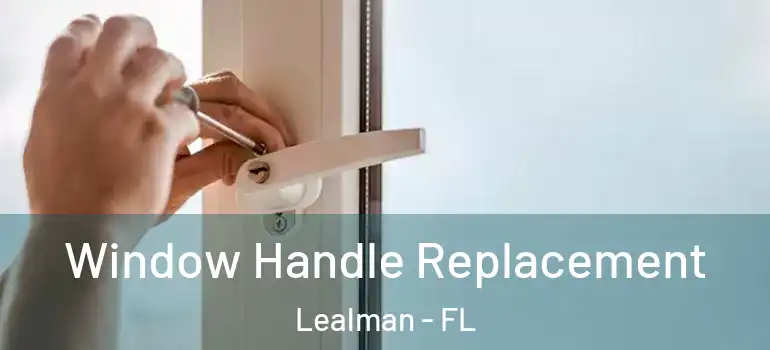  Window Handle Replacement Lealman - FL