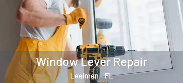  Window Lever Repair Lealman - FL