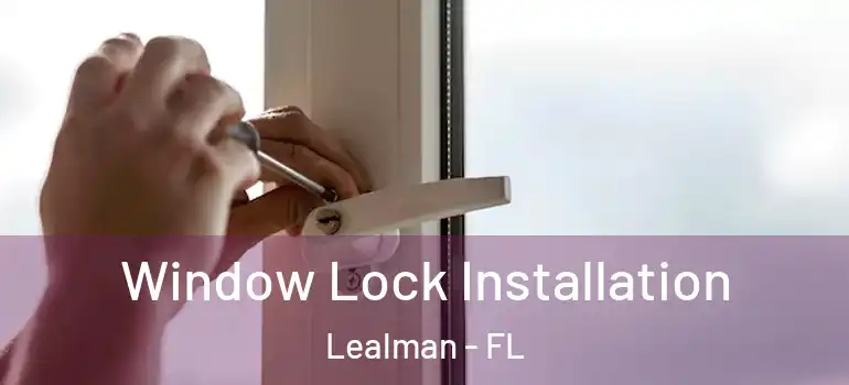  Window Lock Installation Lealman - FL