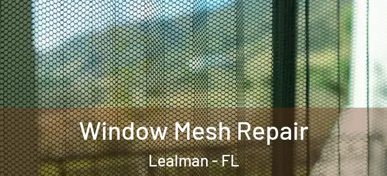  Window Mesh Repair Lealman - FL
