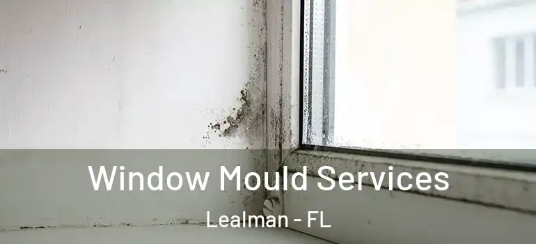  Window Mould Services Lealman - FL