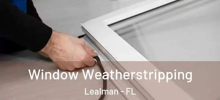  Window Weatherstripping Lealman - FL